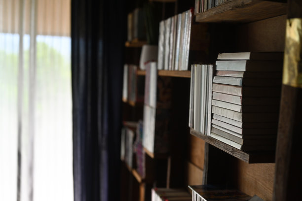 明亮舒适的卧室里摆满了书的木制书架。图片下载