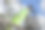 鹦鹉鸟坐在栖木上图片下载