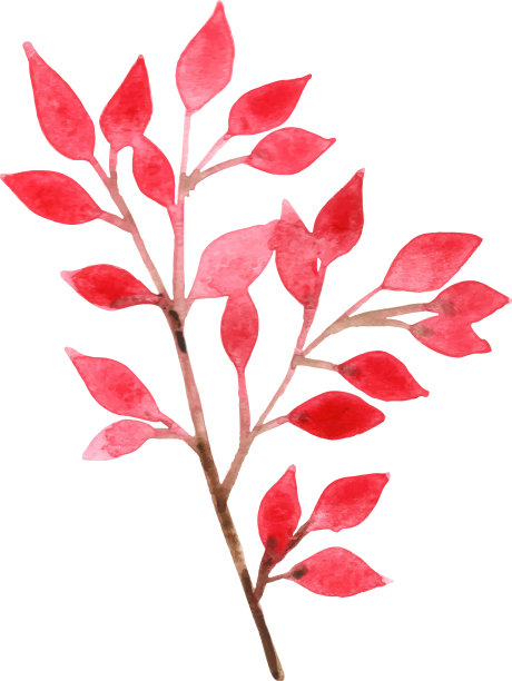 一束秋天蓝色的叶子水彩图片下载