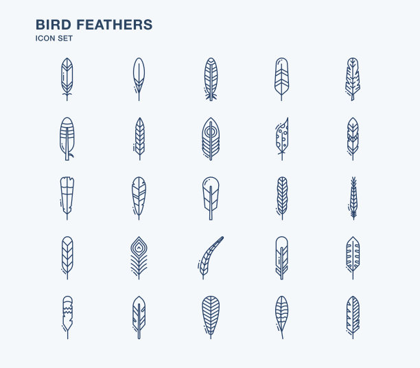 鸟类羽毛轮廓图标设置图片下载