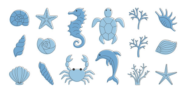 一套不同的海洋元素-贝壳海星图片下载