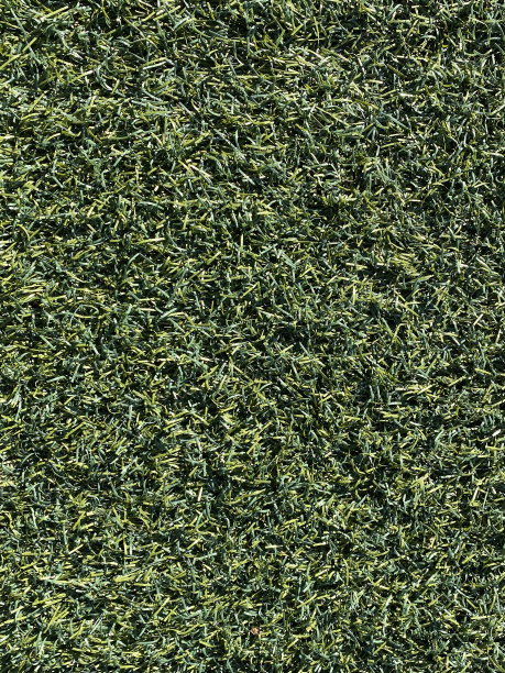 人造草皮图片下载