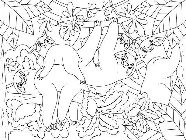 生活在树枝和藤本植物上的树懒科图片下载