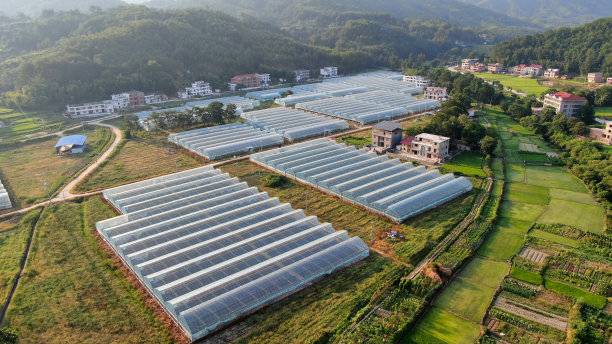 农业发展，蔬菜种植大棚图片下载