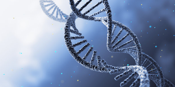 核糖核酸图片下载