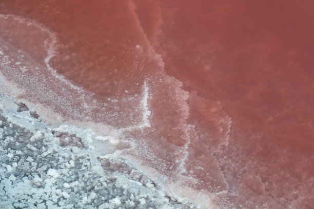 粉色愈合盐。粉红色的湖岸边有盐的海岸线或水边。水表面。设计元素图片下载