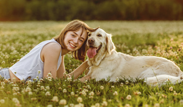 少女在夕阳下抚摸金毛猎犬的肖像图片下载