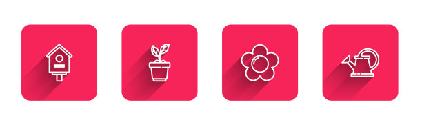 集线鸟舍植物于盆花和图片下载