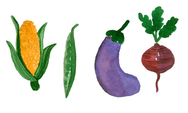 水彩套成熟的蔬菜从花园。图片下载