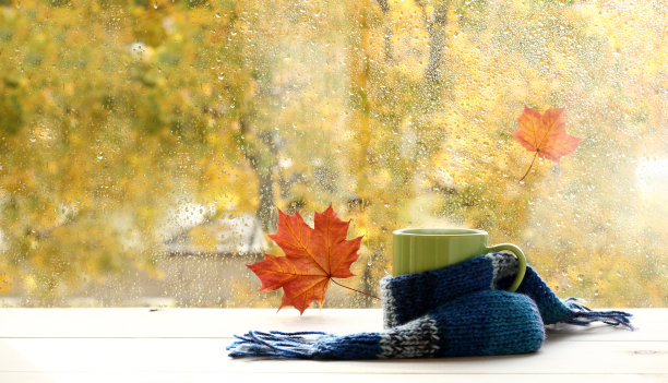 舒适的金秋气氛图片下载