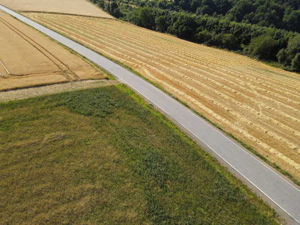 从上面看，麦田，修剪过的田地，树木和夏天的乡村道路的景观图片下载