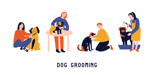 一组女人照顾狗图片下载