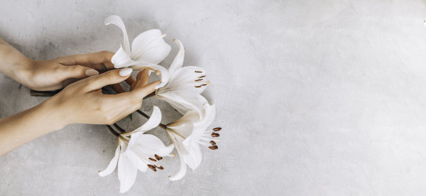 美丽精致的手与指甲握花百合接近在灰色的混凝土图片下载