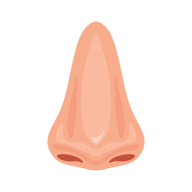 人体鼻子鼻形设计图片下载