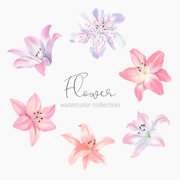 美丽的花束和离开水彩风格图片下载