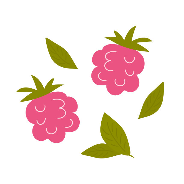 树莓和绿茶叶在白色的背景。矢量插图。用于设计、广告、茶叶产品包装的元素图片下载