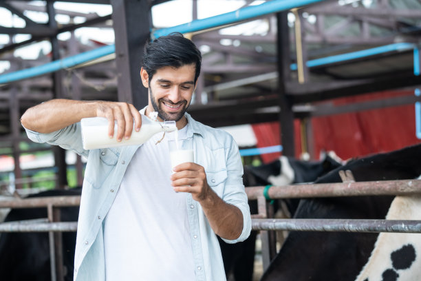 白种人的肖像奶农喝牛奶在牛棚。年轻英俊的农业男性农民微笑着看着镜头后，在畜牧业幸福挤奶图片下载