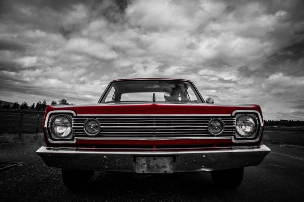 在野兽面前图片下载