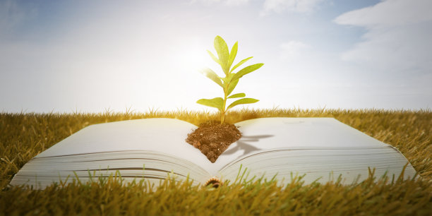 在公园里，绿树种子开着书图片下载