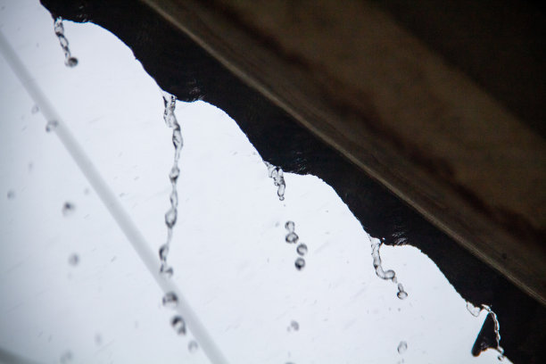 雨滴坠落图片下载