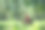 一个美丽的亚洲年轻女子的肖像读书和喝咖啡，坐在公园的露营椅上图片下载