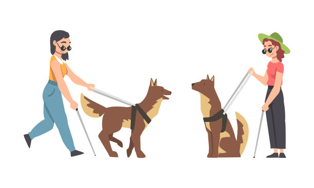 导盲犬和盲女作为训练有素的辅助图片下载