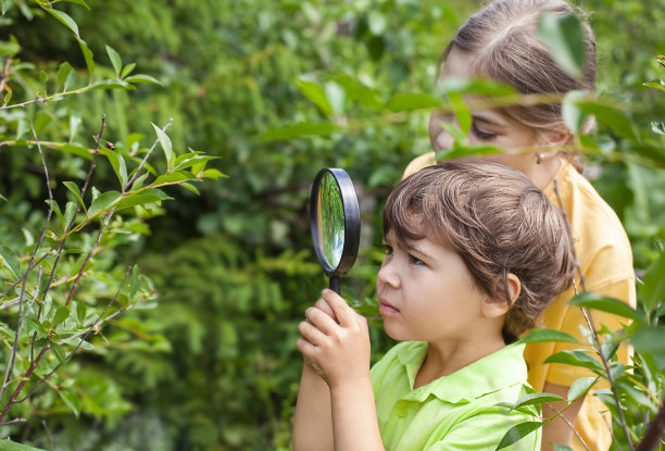 孩子们用放大镜看植物图片下载