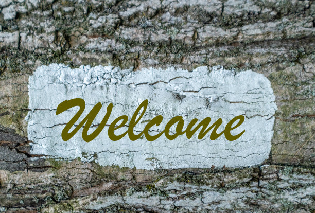 树干上质朴的“欢迎”标志图片下载