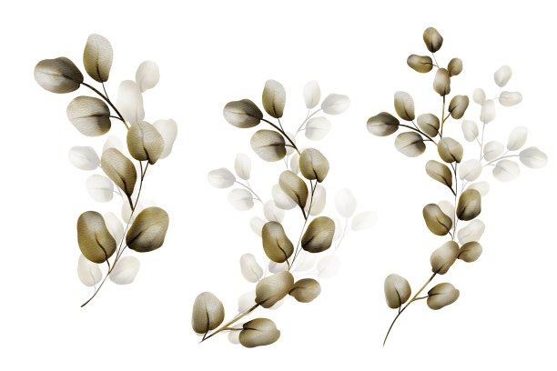 水彩树叶和树枝图片下载