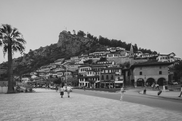 黑白的贝拉特图片下载