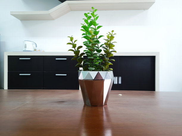 多汁的锅木桌子背景与拷贝空间图片下载