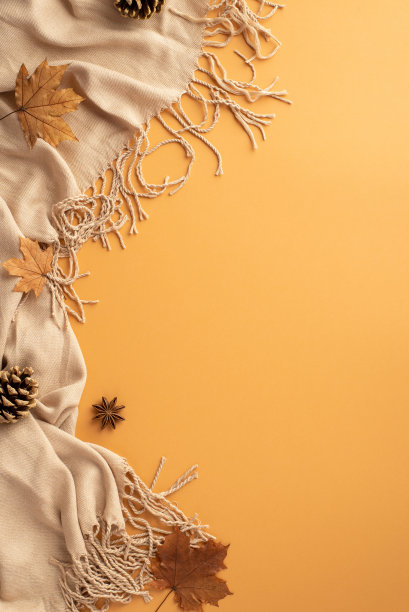 秋天的概念。顶视图垂直照片围巾八角黄枫叶和松果孤立的橙色背景与copyspace图片下载