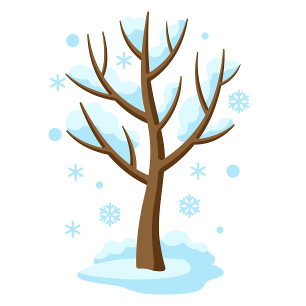 冬天的树，树枝上有季节性的雪图片下载