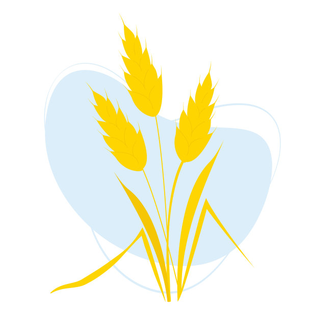 小麦小穗的花束图片下载