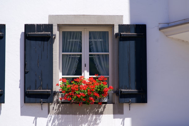 田园风光的窗口与花装饰窗台在瑞士城市奥尔特道夫，尤里州，在一个阳光明媚的夏天。图片下载