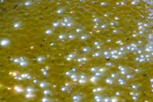 硬币在池塘图片下载