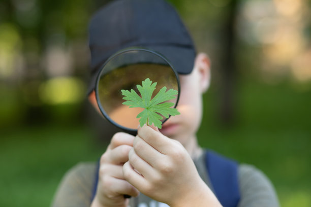 白种人男孩用放大镜探索自然环境图片下载