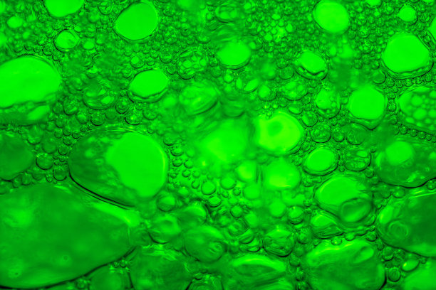 啤酒花图片下载