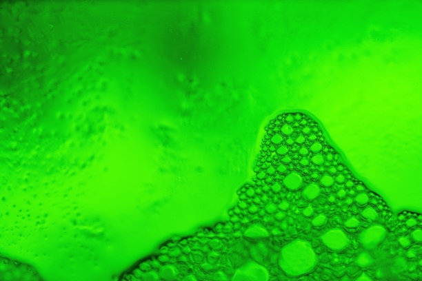 啤酒花图片下载