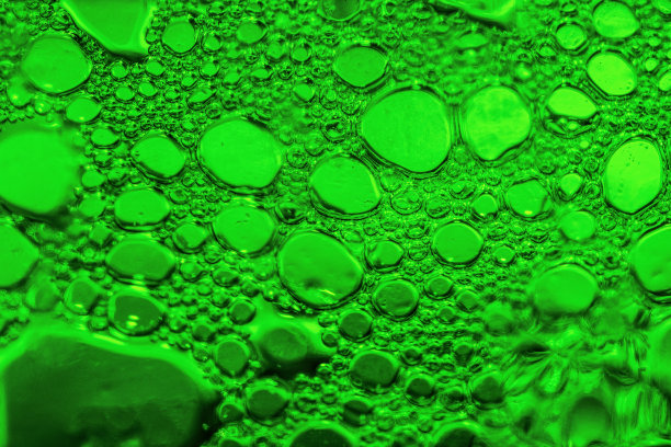 啤酒花图片下载