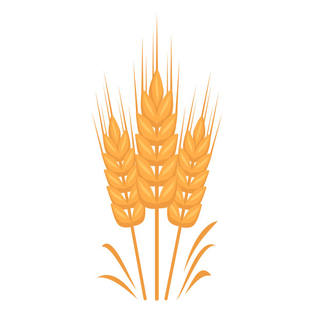 金麦穗图片下载