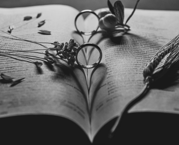 婚礼组成与结婚戒指图片下载