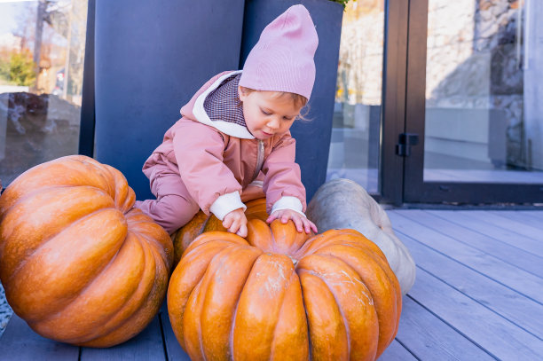 白人宝宝1岁，在房子附近学习和玩巨大的南瓜，准备庆祝万圣节图片下载