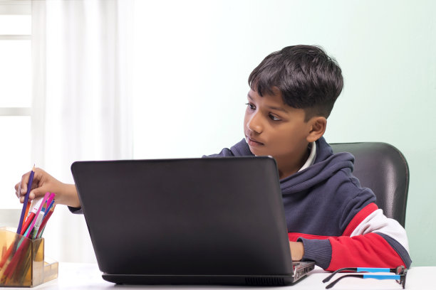 男孩在客厅用笔记本电脑做作业图片下载