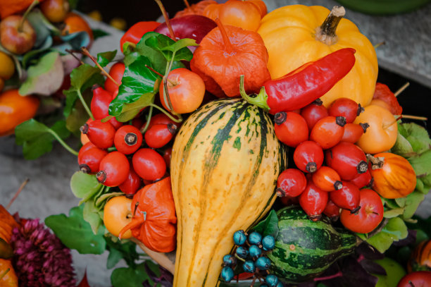 秋季静物：水果、蔬菜和浆果图片下载