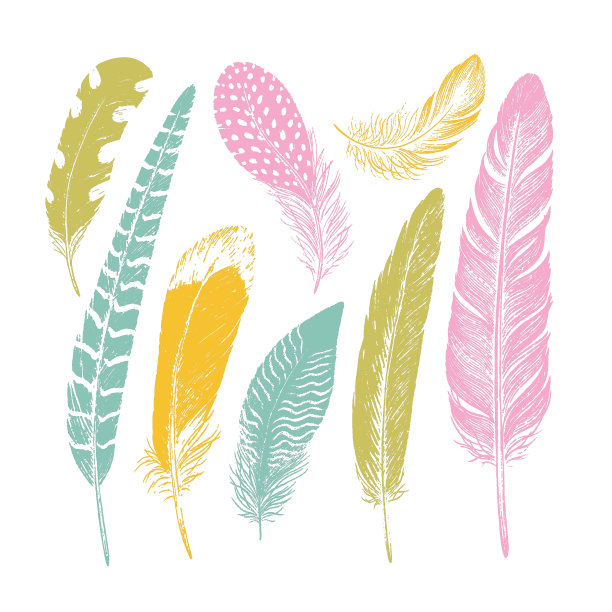 一套用于设计的彩色羽毛。刷和油漆纹理。蓝色,粉色。矢量图图片下载