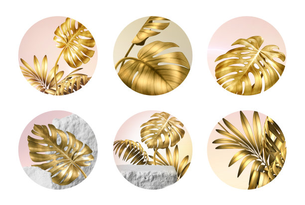 3d渲染，一套各式各样的圆形贴纸与金色热带棕榈叶，社会帐户设计的现代图标。白色背景上孤立的抽象圆圈图片下载