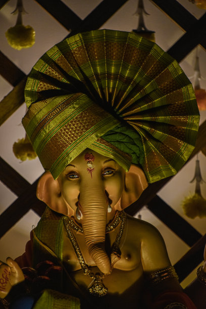 甘尼萨图片下载