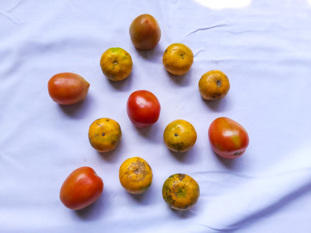 新鲜健康的水果图片下载