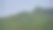 山上长满了树木和茂密的森林图片下载